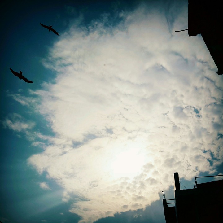 skyline