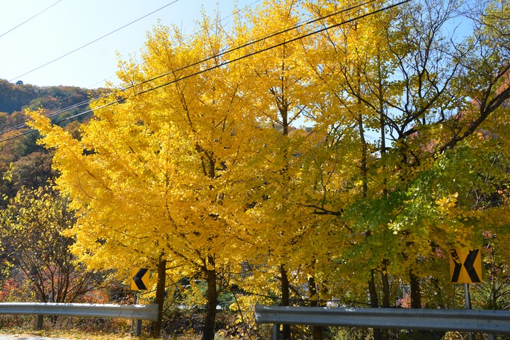 산이미지