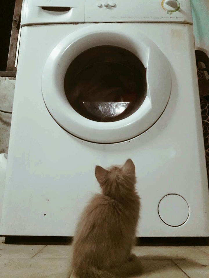 Venus