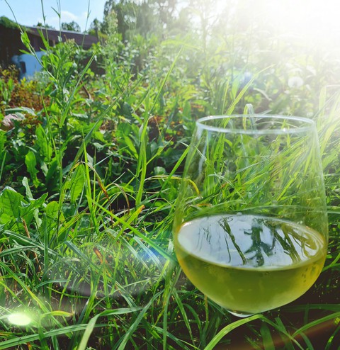 The Winegrass :)