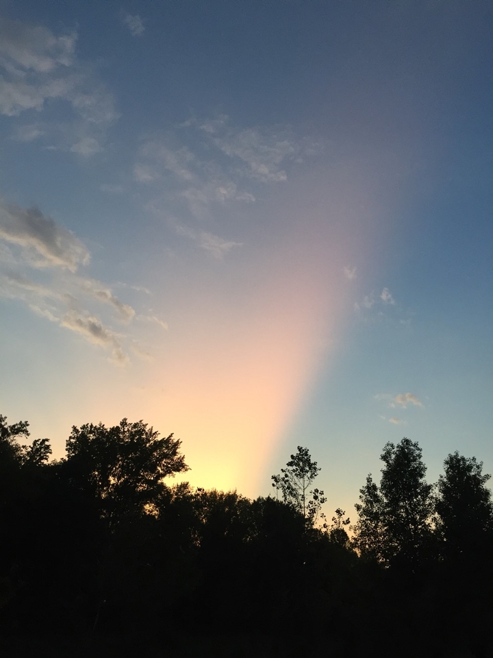 Skyismylove