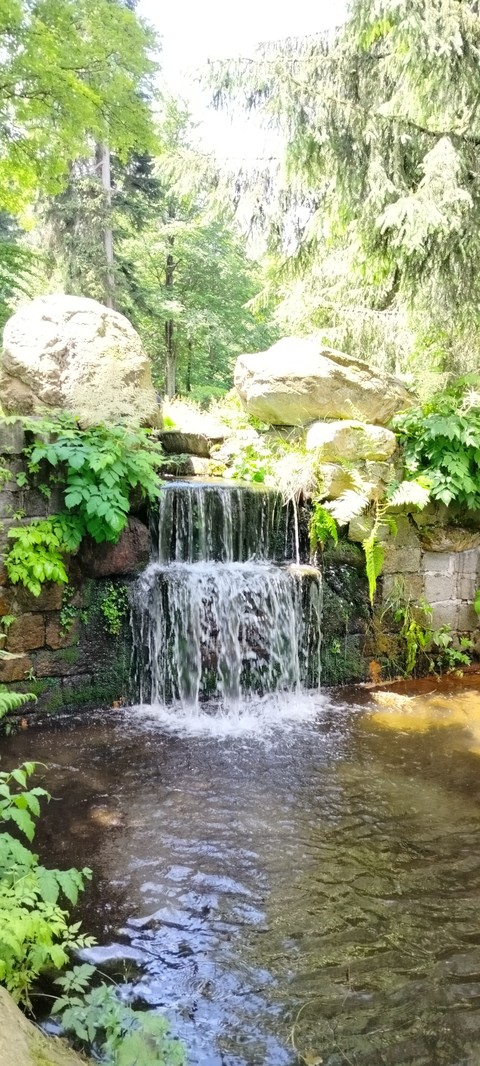 тапети Water, tree