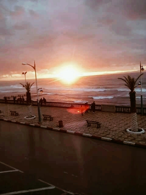Salamandre, Mostaganem, Algérie