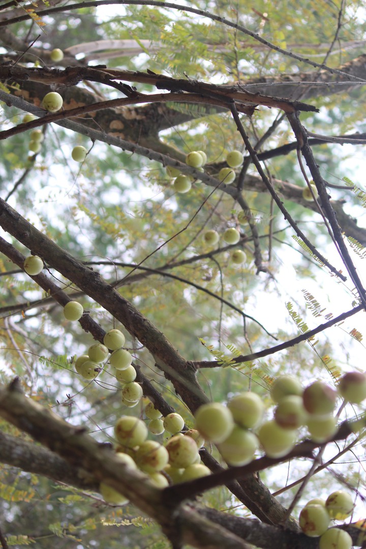 #nature
