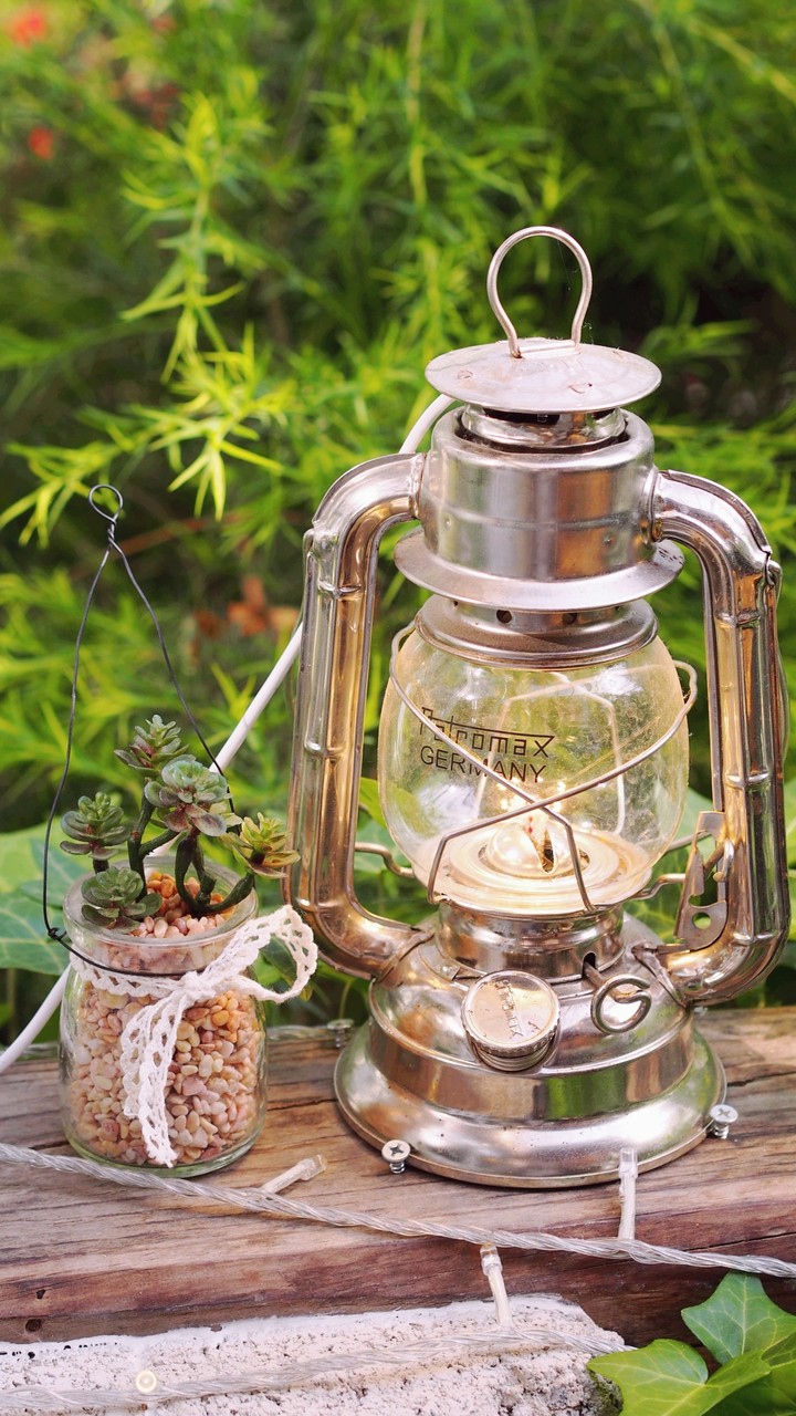 plant & lamp