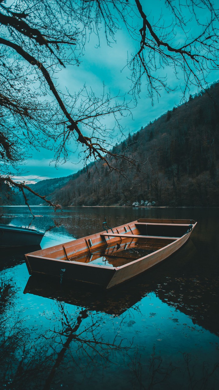 la barca