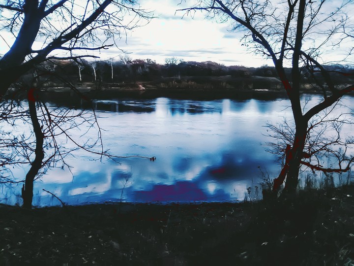 осенний лес
