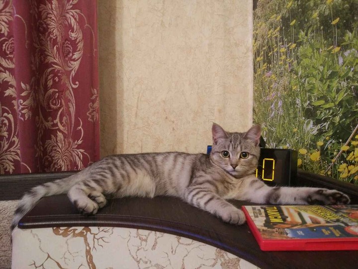 восхищение