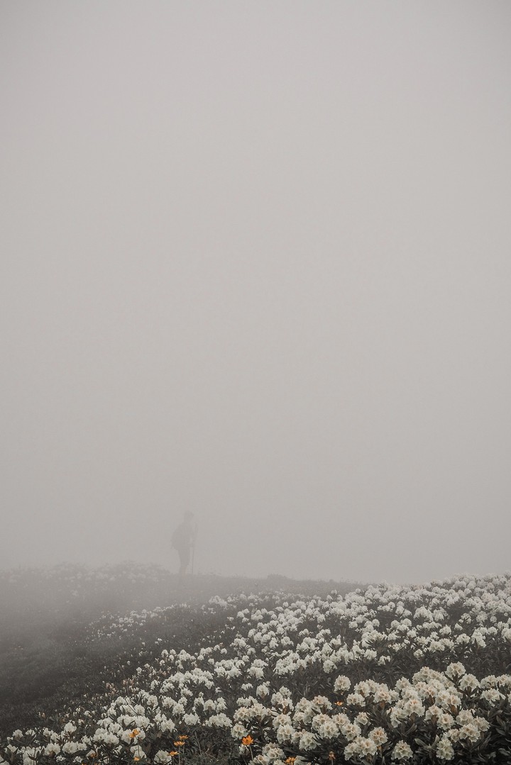 In the fog
