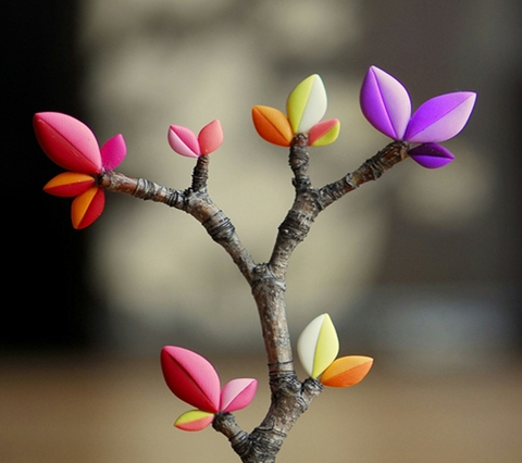 spring flowers