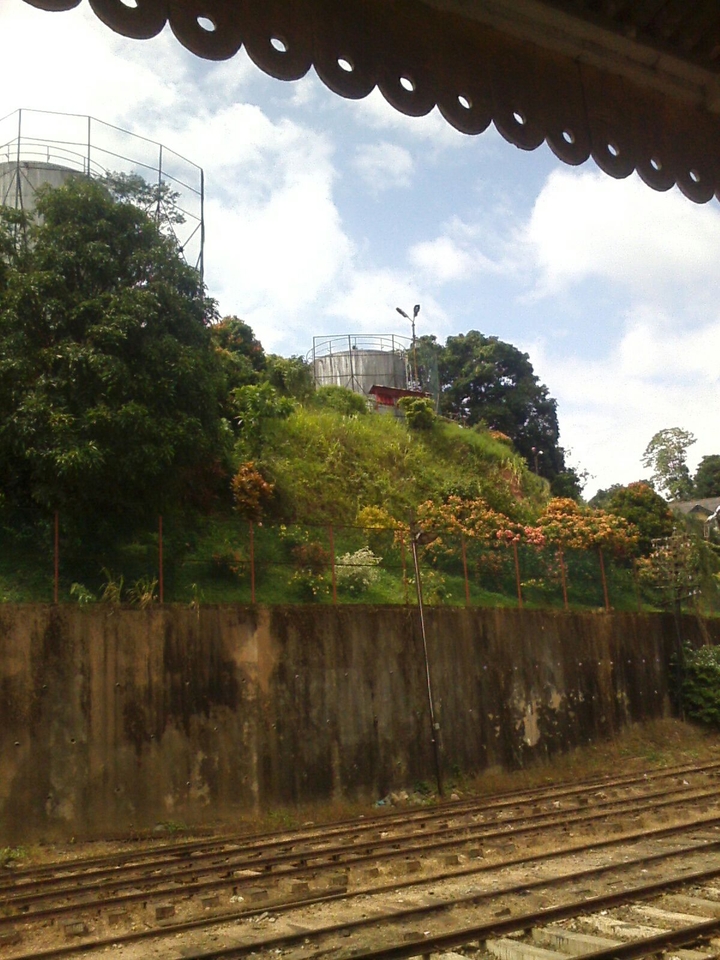 back side of paradeniye garden