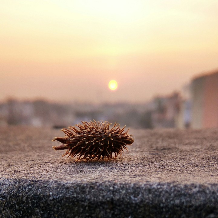 Morning start with the golden sky