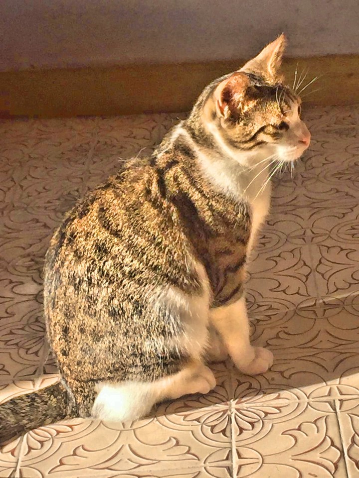 Angela