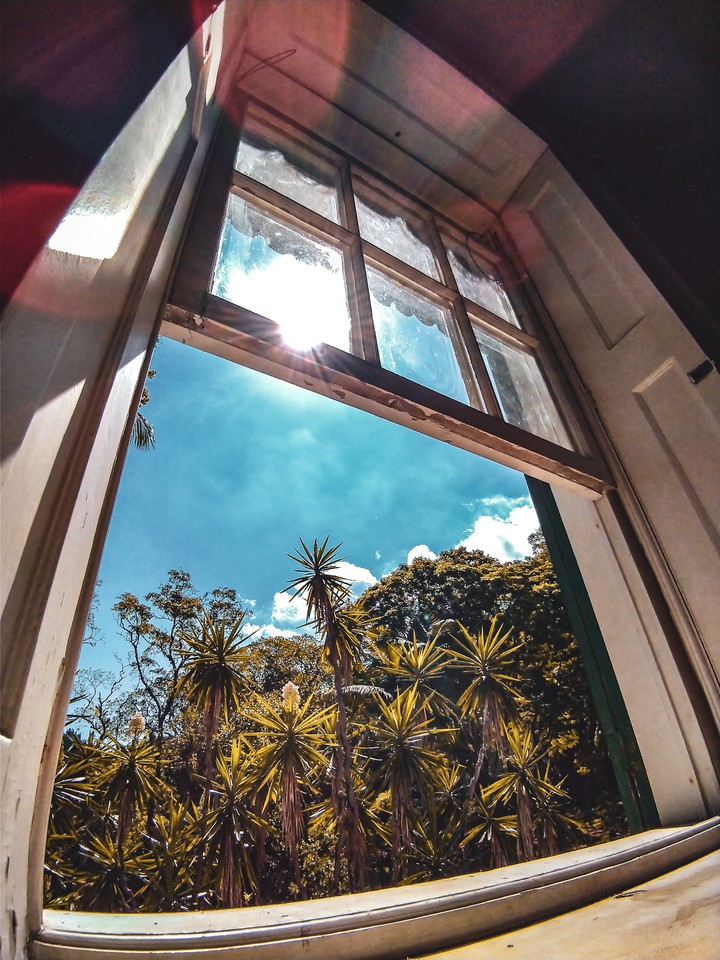 wonderful windows