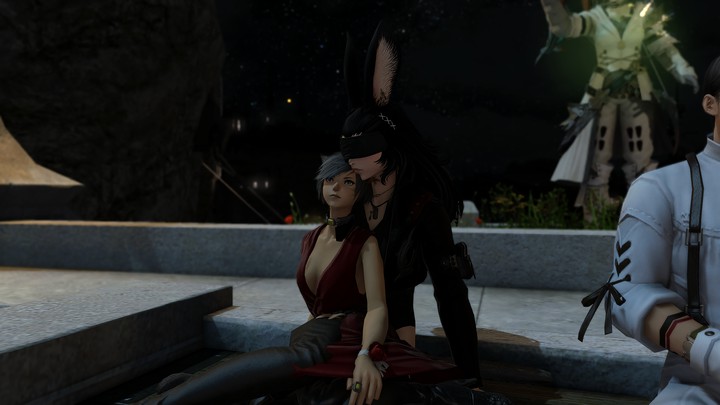A miqote and a viera walking into a bar...