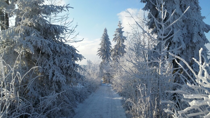 Winter
