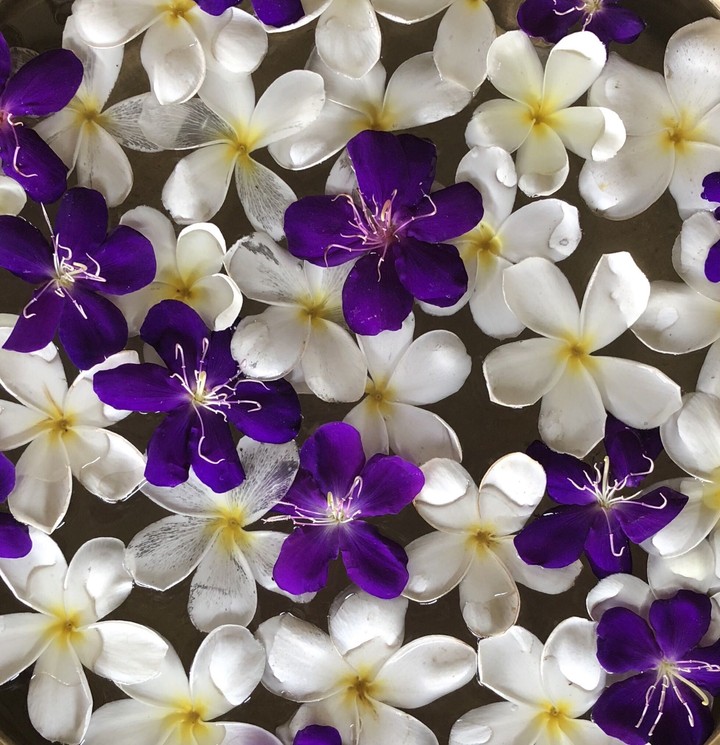 Floral feast