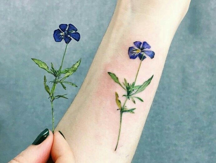 хх