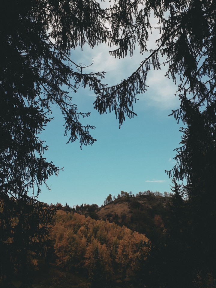 nature and nature