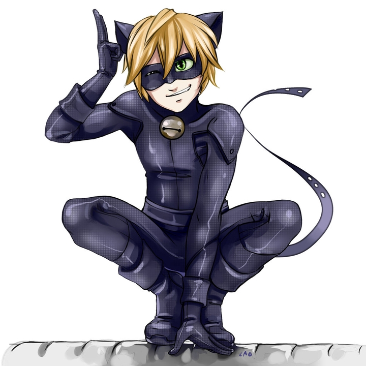 chat noir❤❤