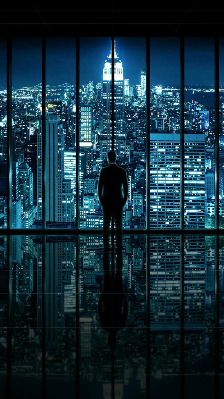 Mr. Look Out The Window