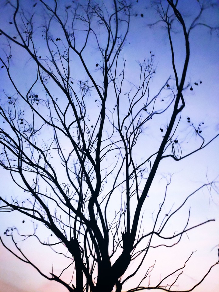 violet sky