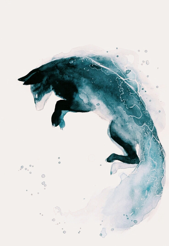 Galaxy fox#3