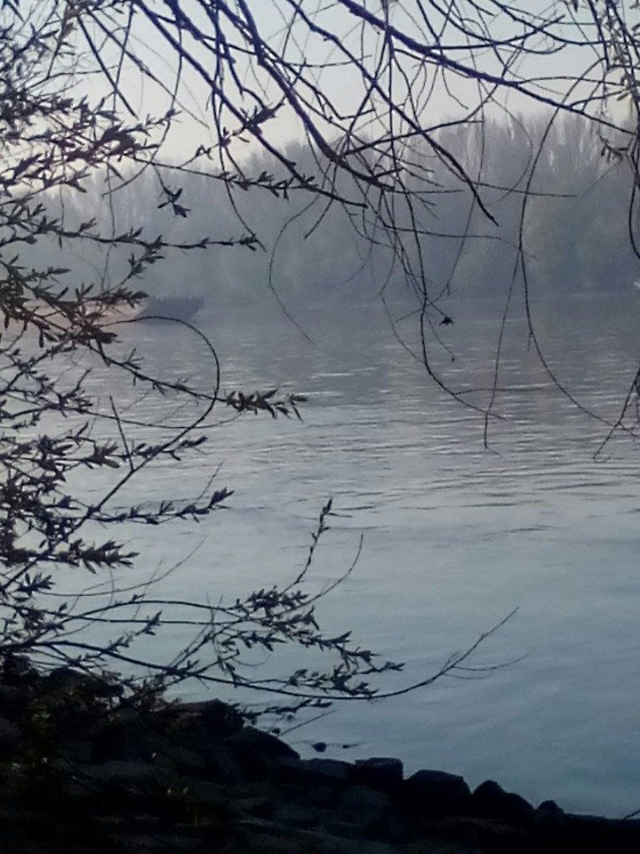 Dunav
