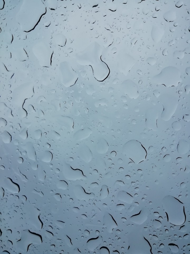 summer rain ☔