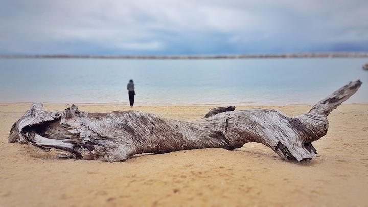 The Log