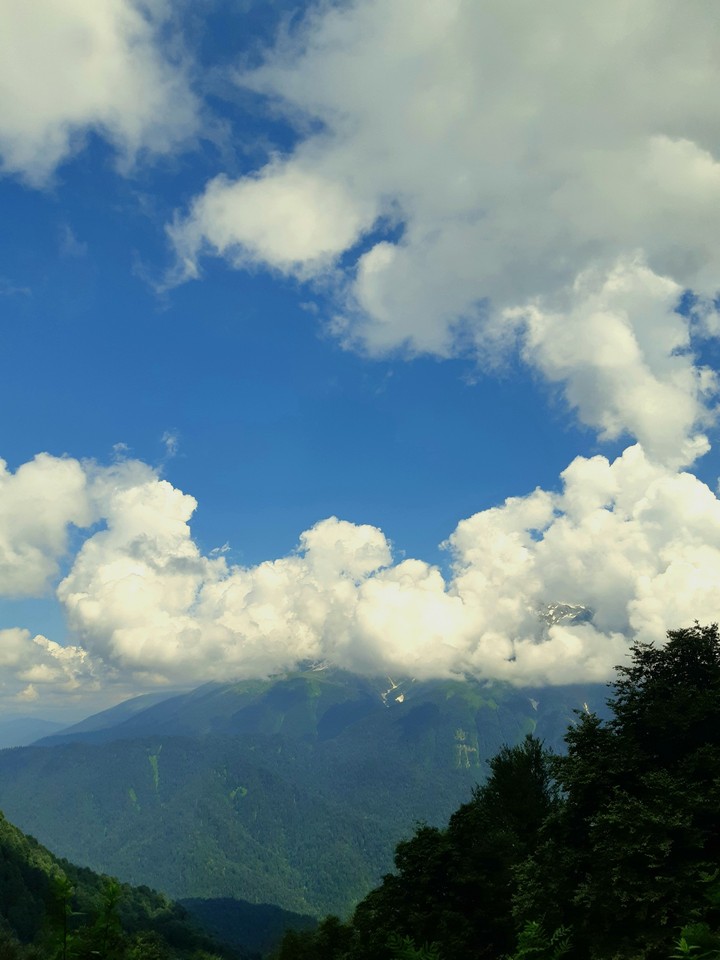Caucasus