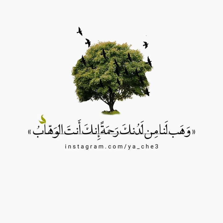 اقتباسات