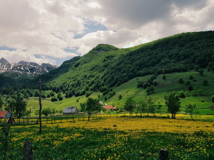 Alps
