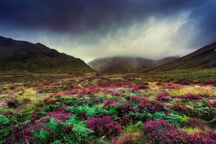 nature
