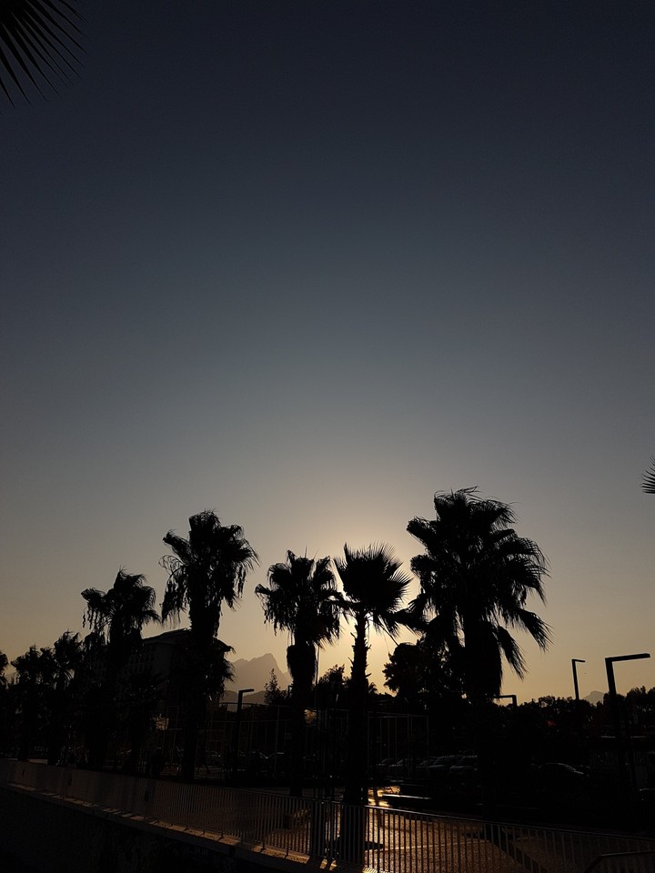 Sunset