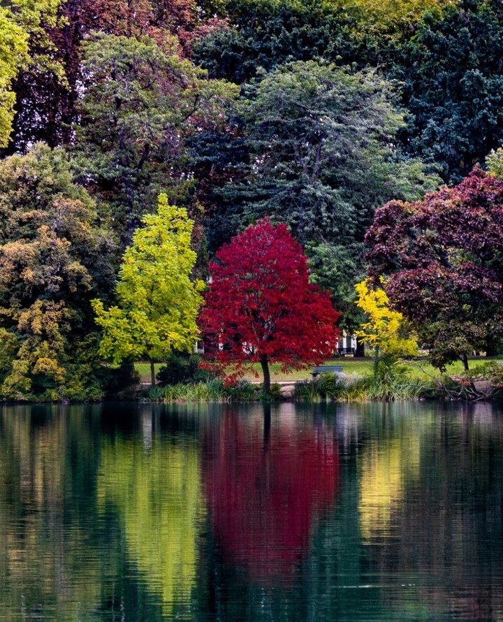 Automne