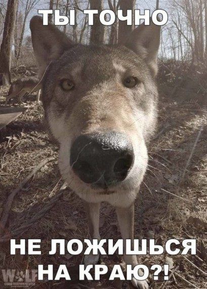 ха