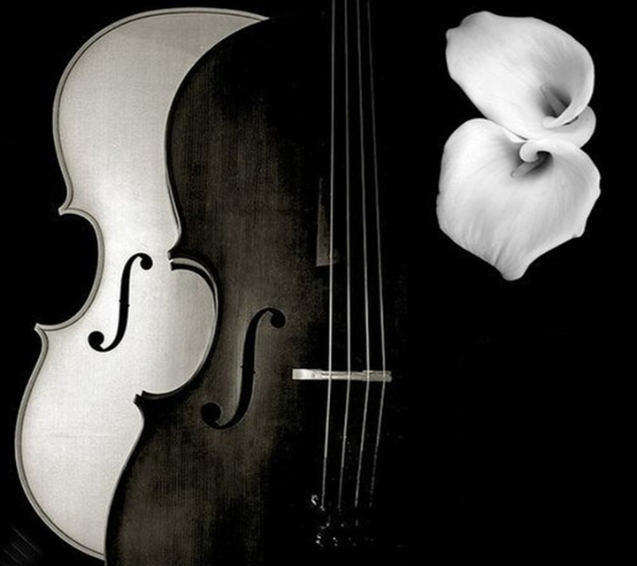 black&white