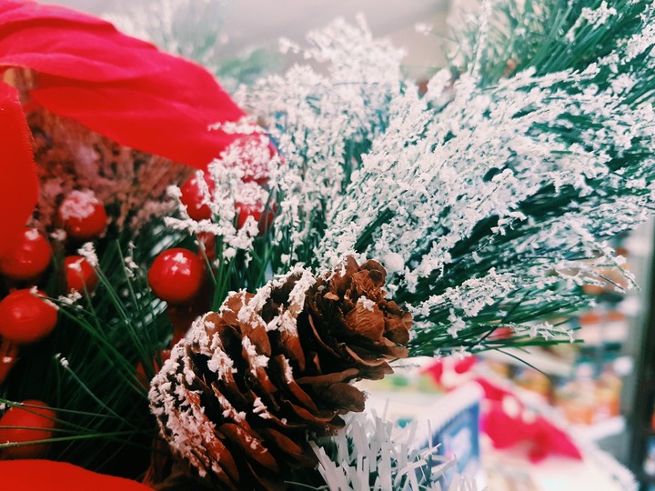 NAVIDAD