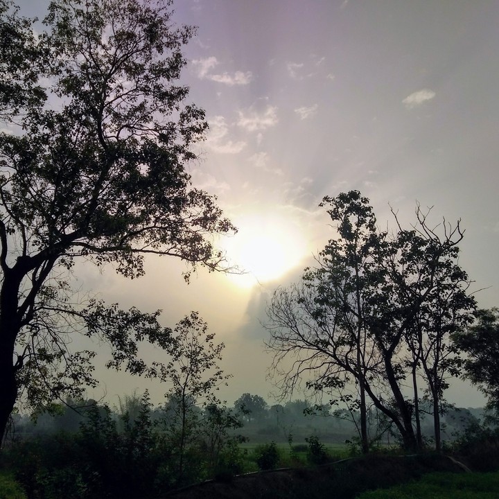 morning