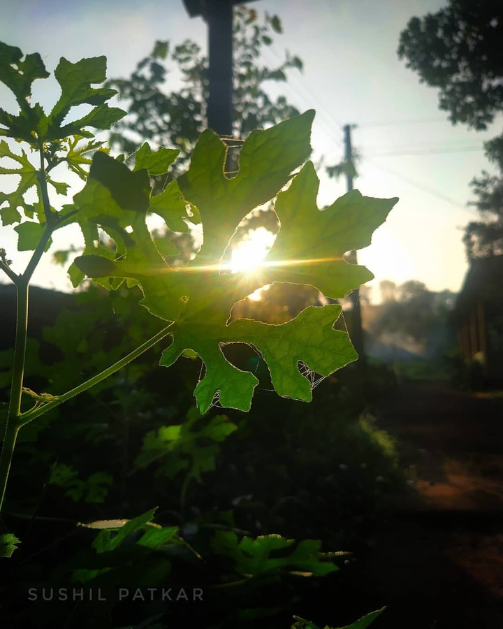 beauty of konkan ❤️
