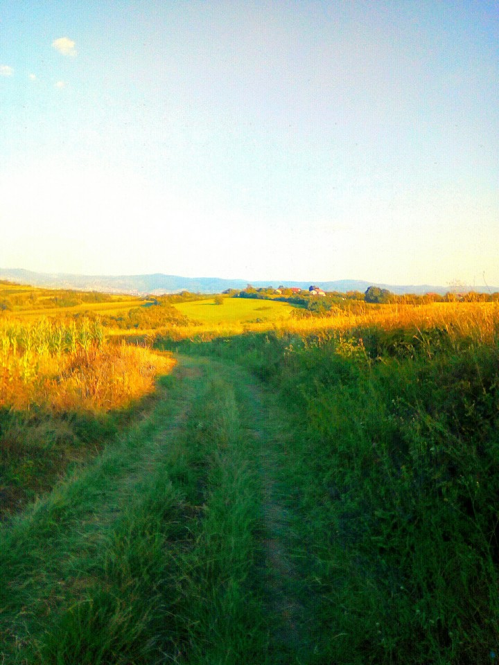 view to Kragujevac from field in Šljivovac