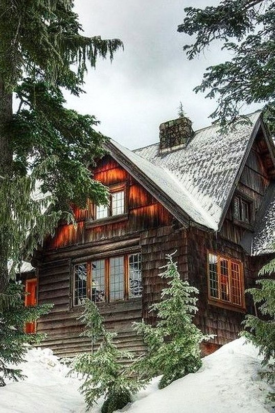 дом в лесу