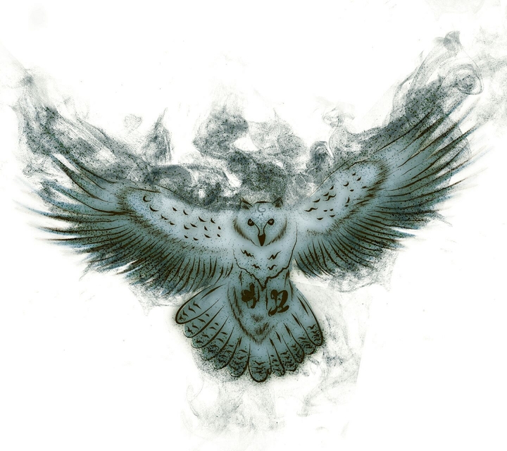 Owl ilustration