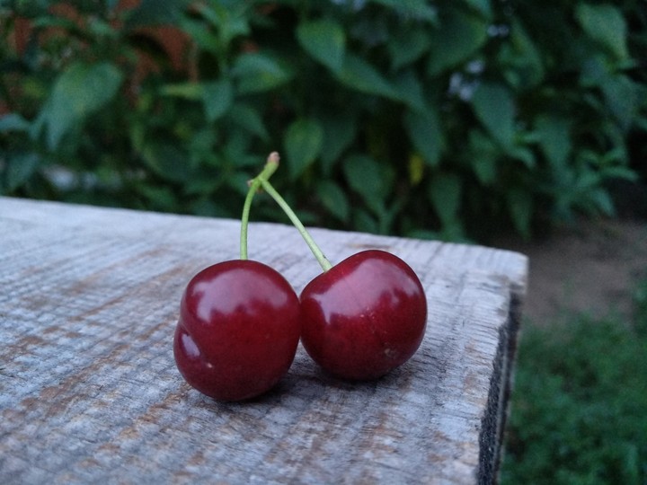Вишенки