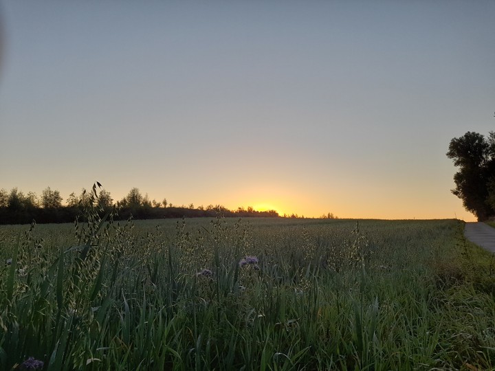 Sunrise