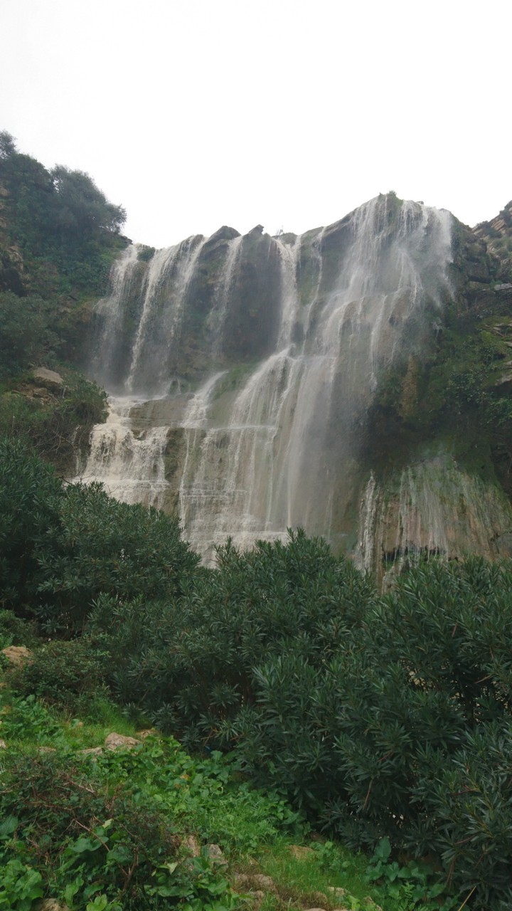Tunisia 