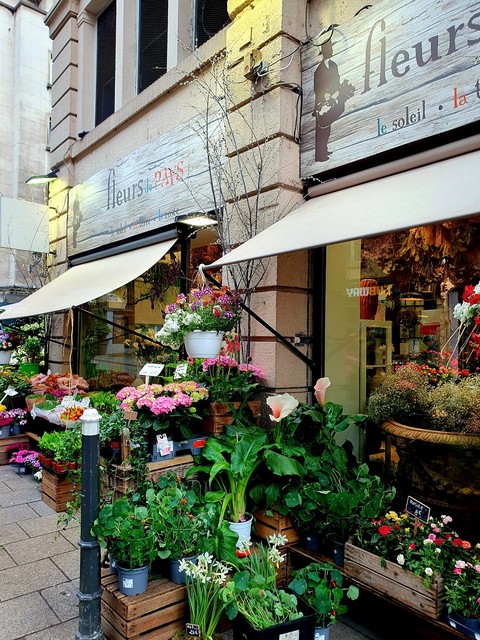 шпалери Awning, flowerpot