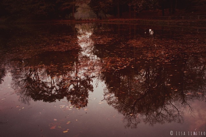 dipinti d'autunno