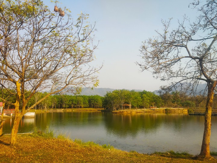 nature, peace,peace of mind